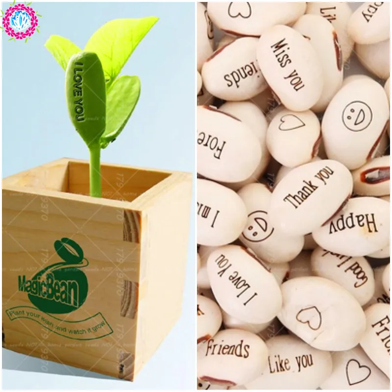 5 шт./пакет артефакт волшебные бобы зеленые горшечные| |