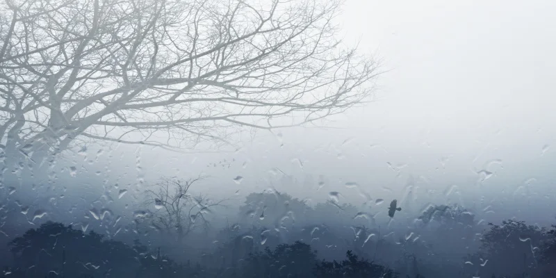 Художественный постер на холсте "Туманное утро за окном", креативная настенная декорация, современное украшение для дома, подарок для гостиничной спальни.