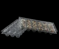 1000pcslot 18 holes 19841133cm quail eggs container plastic clear egg packing storage boxes wholesale free shipping sn2923