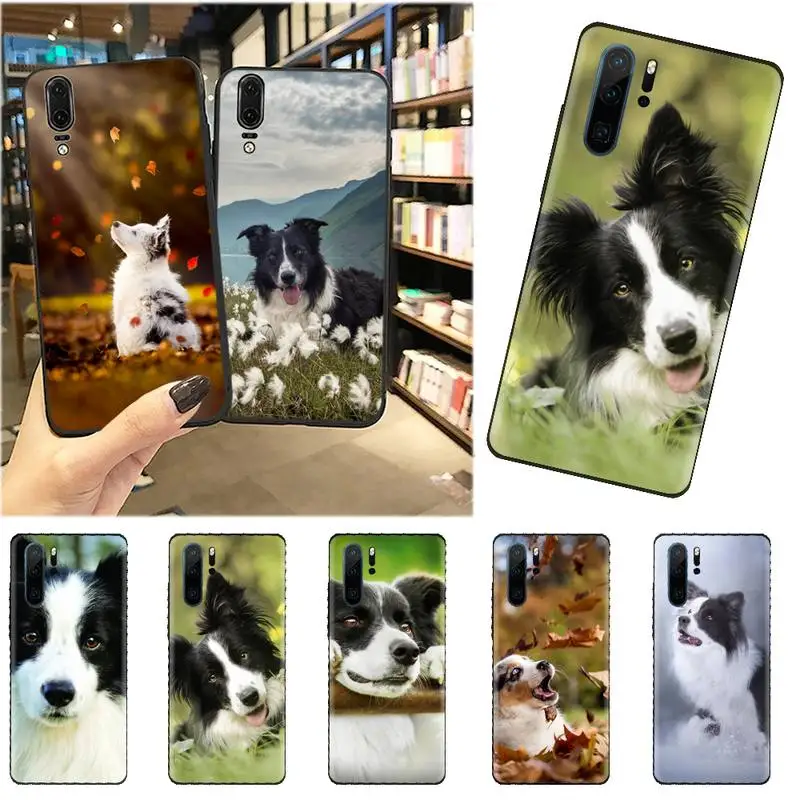 

Border Collie Dog Breed Phone Case For Huawei honor Mate mate P 10 9X 10i 20 30 40 y7 pro p smart 2019 lite