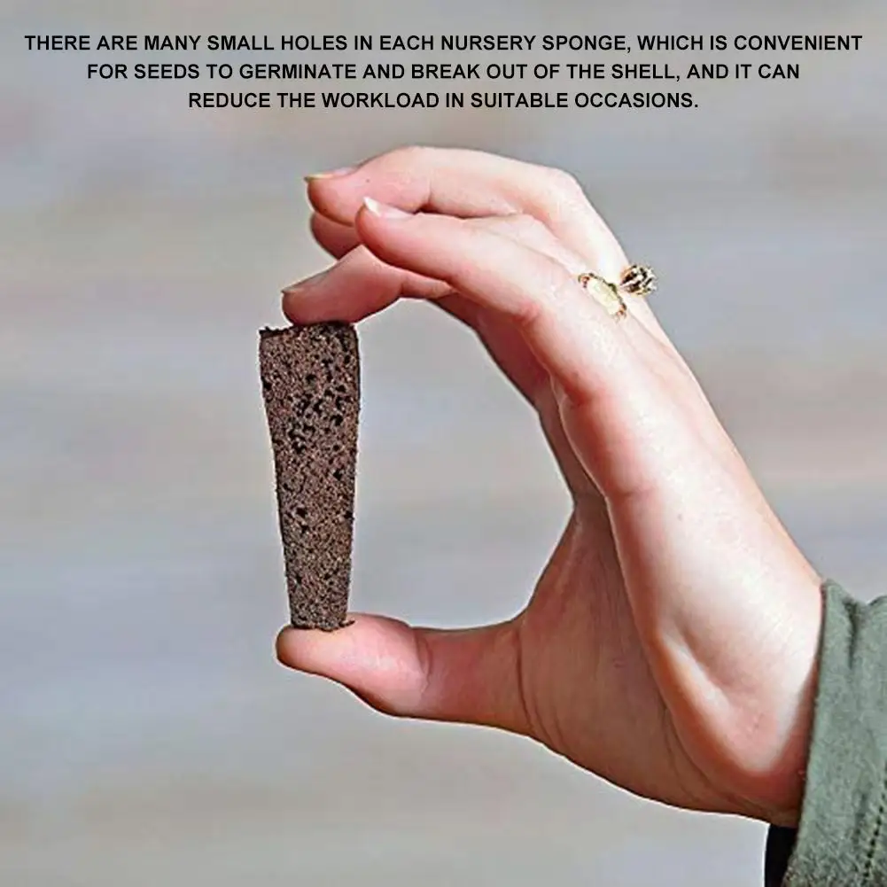 5 шт. семян Pod губки стартер губка накладки замены роста корня Вилки для