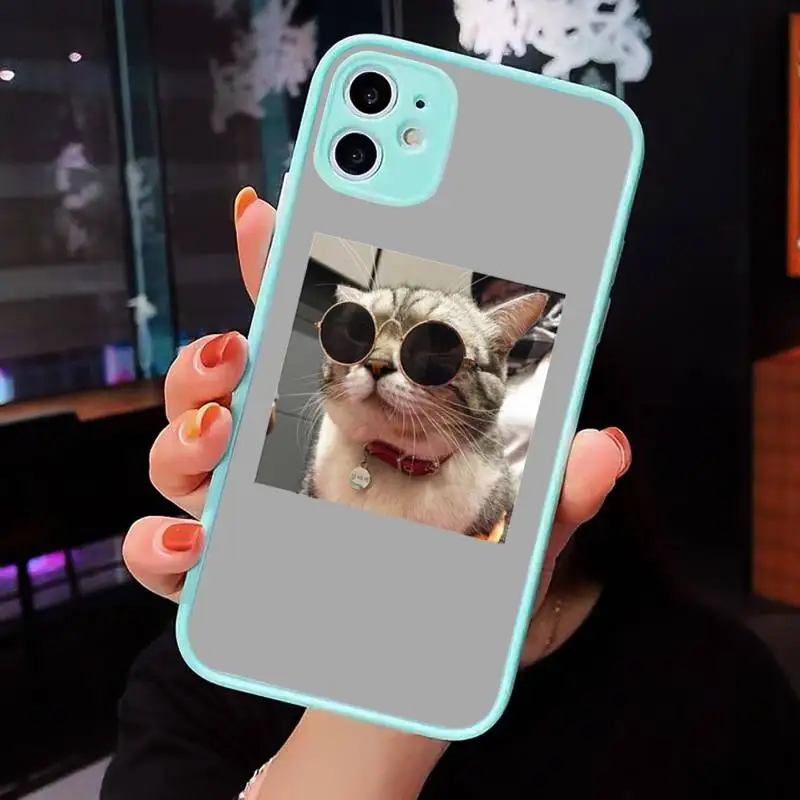 

Phone Case For iPhone 12 11 Mini Pro XR XS Max 7 8 Plus X Cute cat puppy pet Matte transparent blue Cover