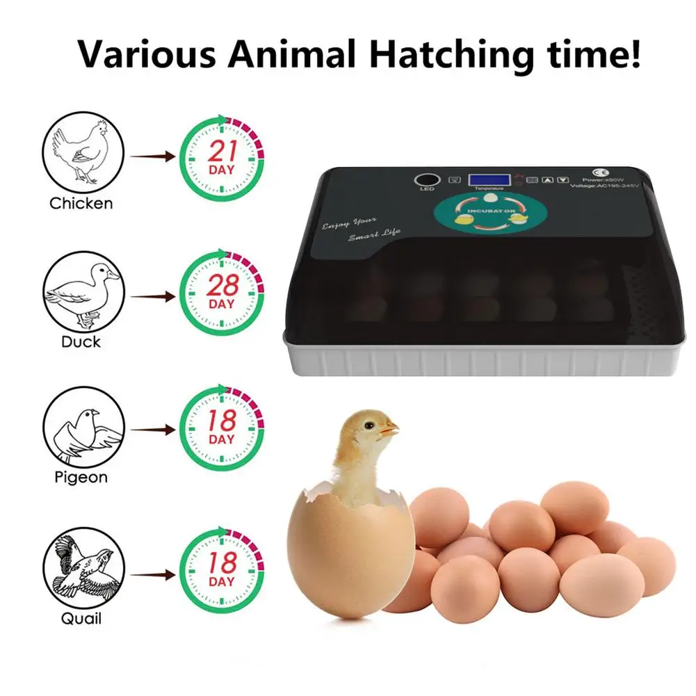 Автоматический инкубатор | Дом и сад