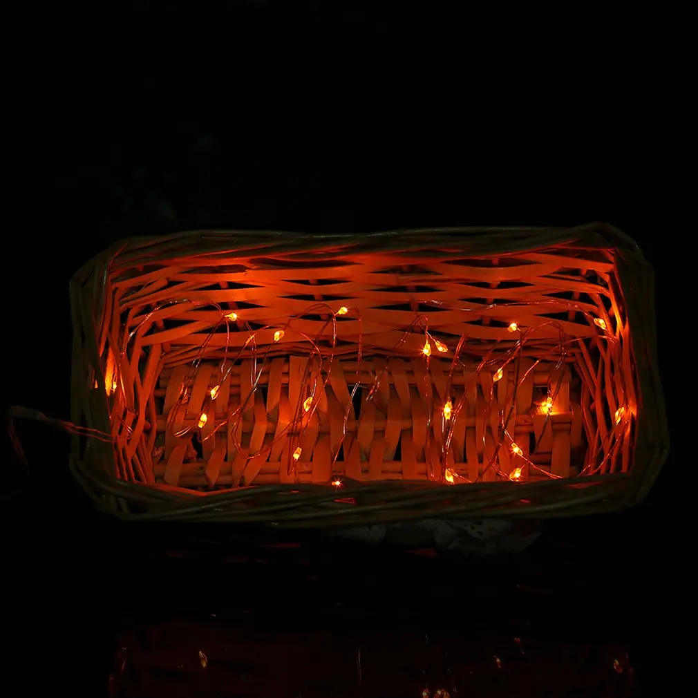 

Button Battery Indoor Outdoor Copper Wire Decorative LED String Lights