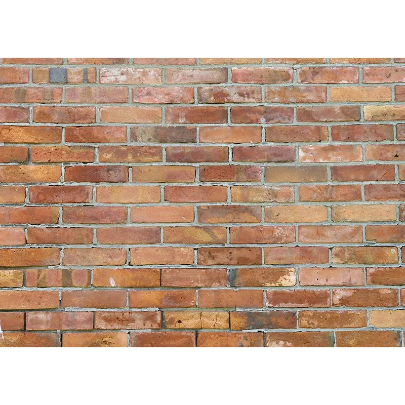 

SHENGYONGBAO Vinyl Custom Photography Backdrops Brick Wall Theme Photo Studio Background 20203TT-05