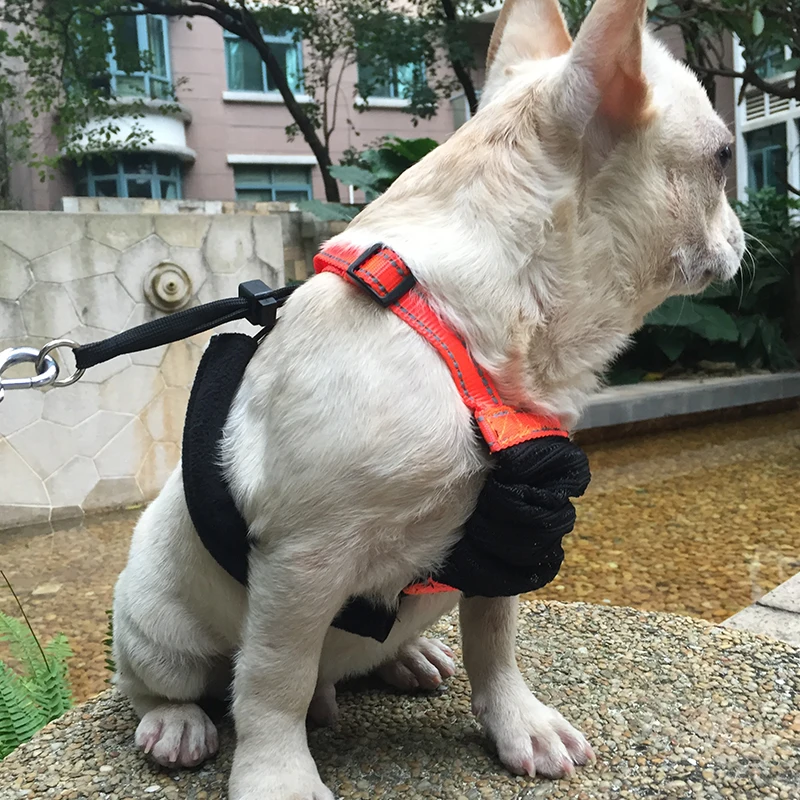 Не вытягивающий поводок для собак не сетчатый домашних животных|Наборы| |