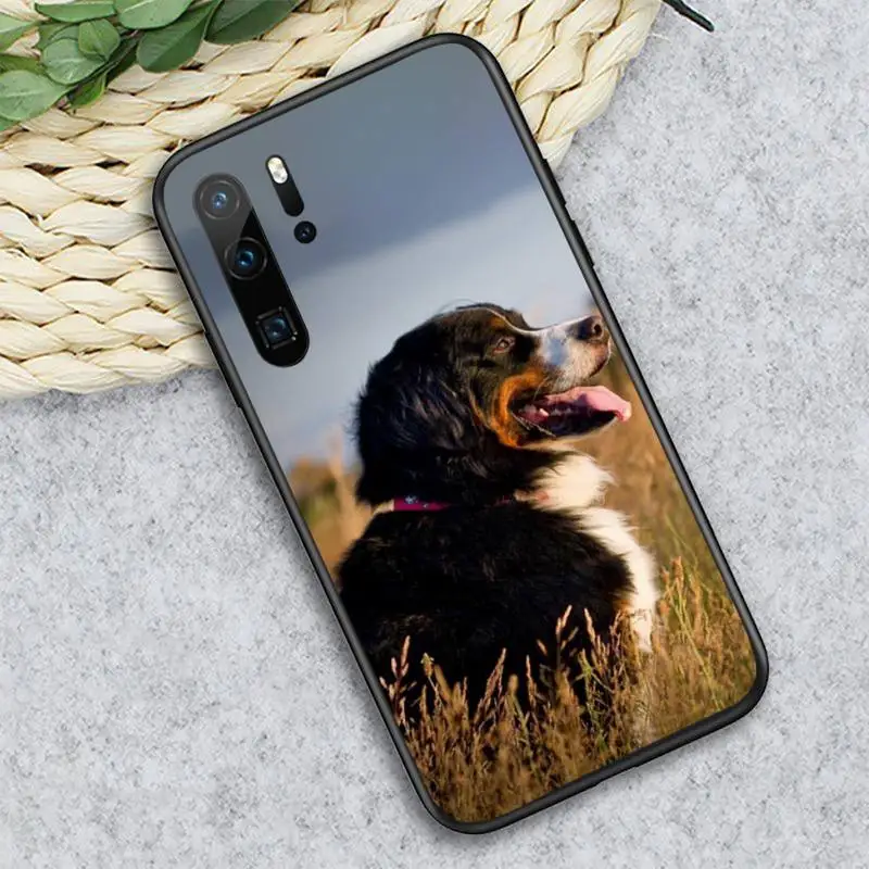 

Lovely animal Bernese Mountain Dog Phone Case For Huawei honor Mate P 10 20 30 40 i 9 8 pro x Lite smart 2019 nova 5t