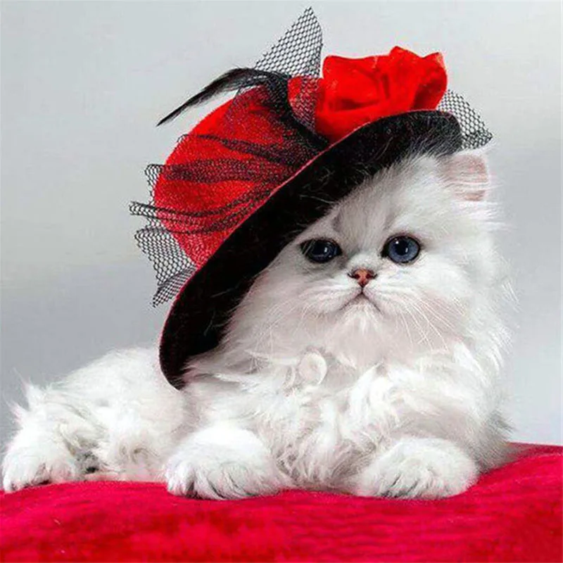 

SenyuArt 5D Diy Diamond Painting Cross Stitch Ktis Animal Cat Picture Rhinestone Full Drills Round Square Embroidery Sale Mosaic