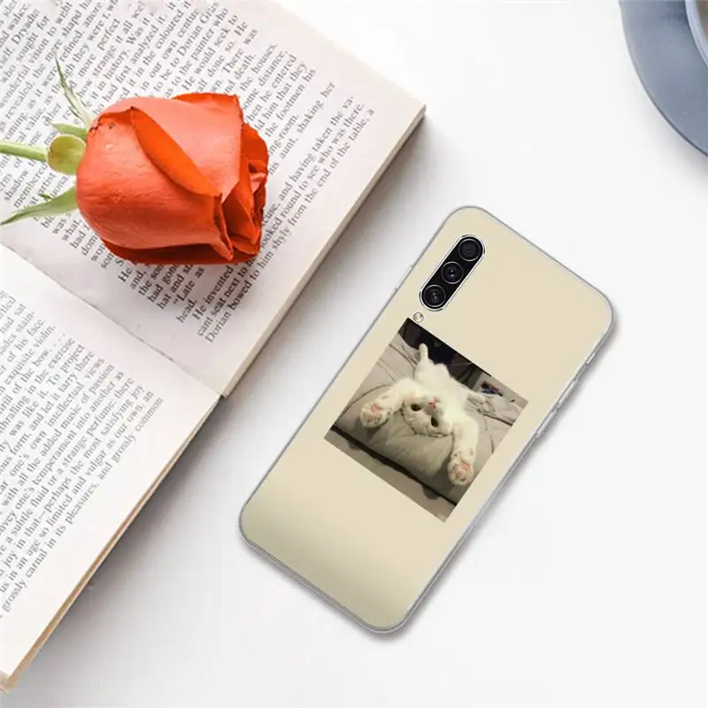 

Lovely animal cat Phone Case For Samsung A S M Note 9 10 20 fe 21 71 30 ultra plus 5g 11 31 51 s