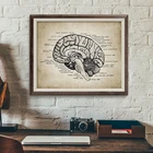 Винтажная Анатомия мозга медицинская печать физиология плакат женский офис Декор медицинская клиника настенное Искусство Холст Картина