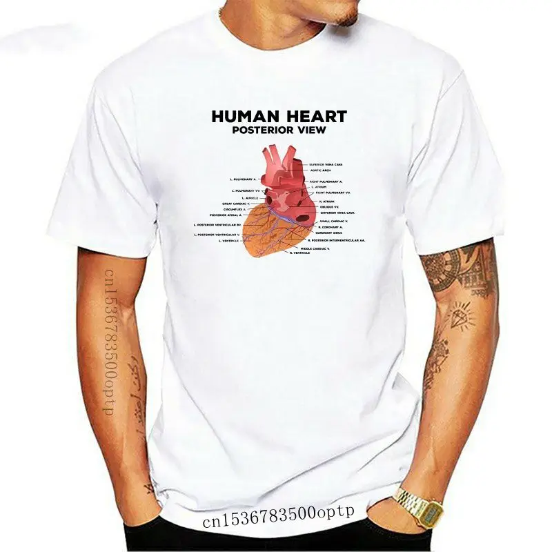 

Men t shirt Human Anatomy Unisex Fashion Simple Design Heart Graphic Diagram Plus Size t-shirt tshirt women