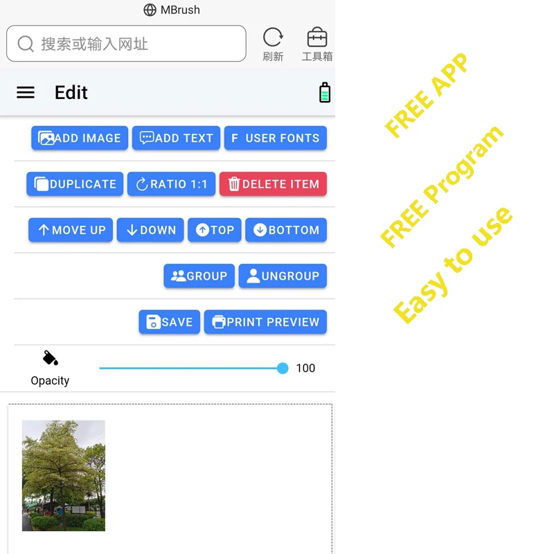 Цветной принтер Mbrush Мобильный Wi-Fi-принтер совместим с iOS Android Mac Windows | Компьютеры и