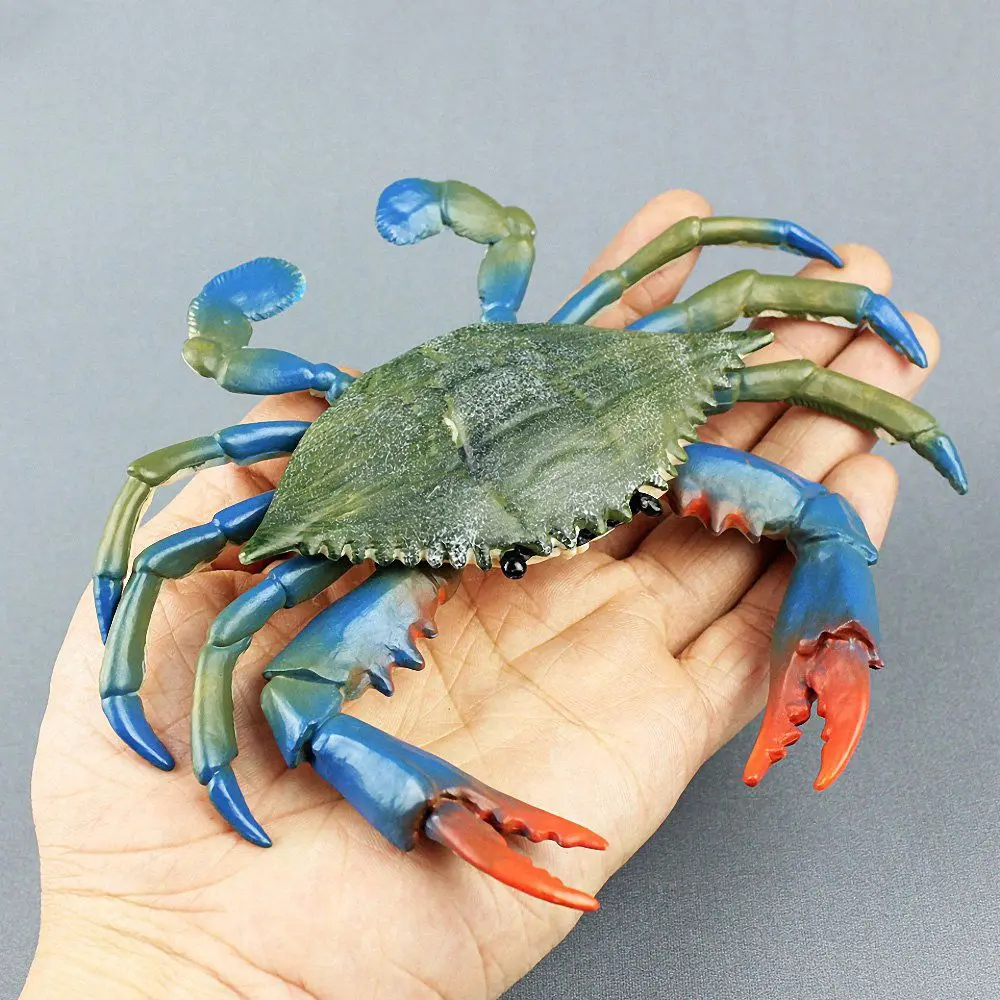 Фигурки Обучающие модели крабов коллекция морских животных игрушки для