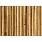 Фон для фотосъемки детей с изображением кокосового песка, цветов, кораблей, цветов