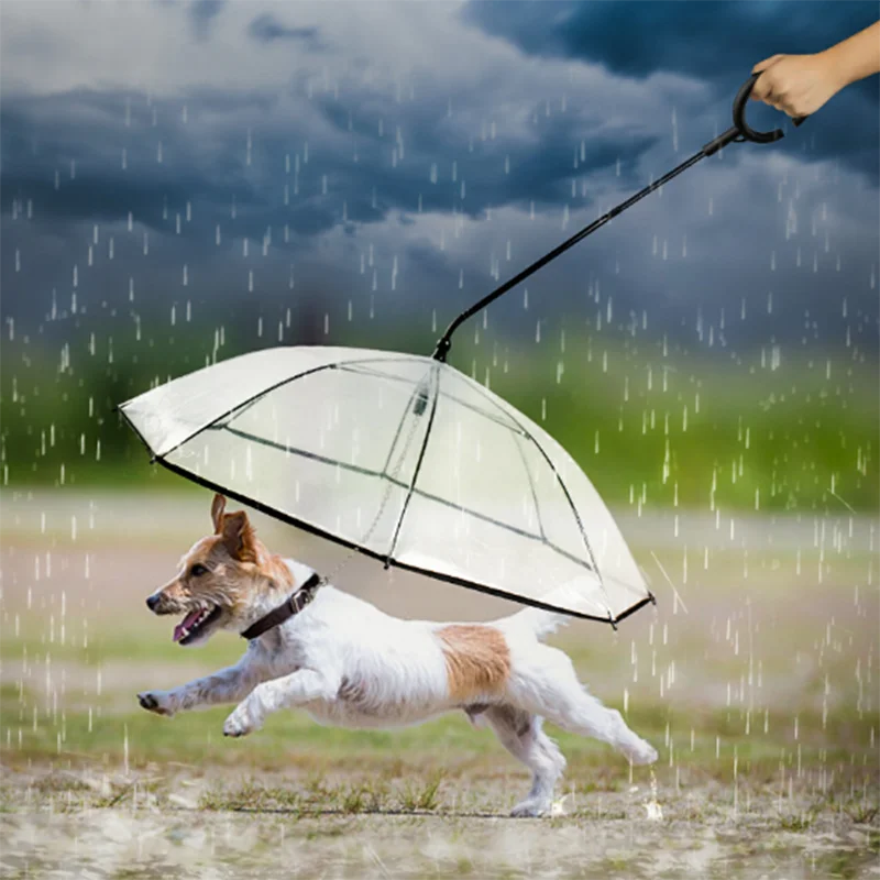 

Newest Telescopic Handle Transparent Pet Umbrella With Dog Leash for Rain Walking Umbrellas Waterproof Cat Supplies Pet Products