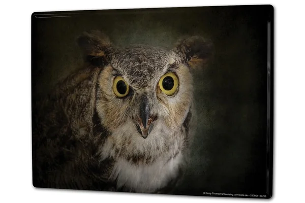 

Tin Sign Bird OWL
