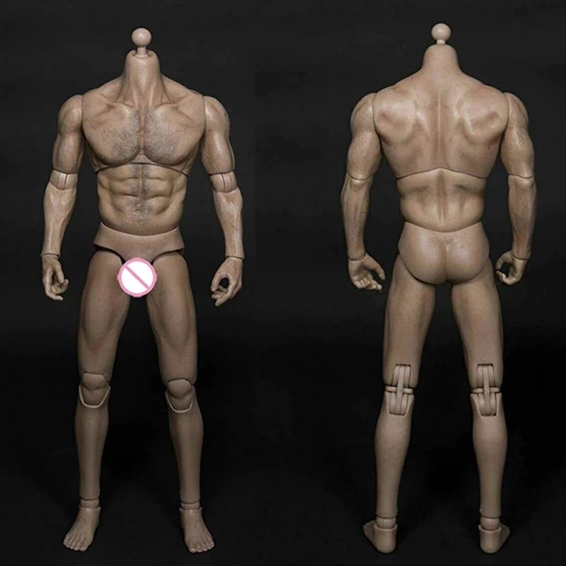 

AT012 WorldBox 1/6 Male Muscle Action Figure Body Wide Shoulder for 1/6 HT DID Female Head In Stock