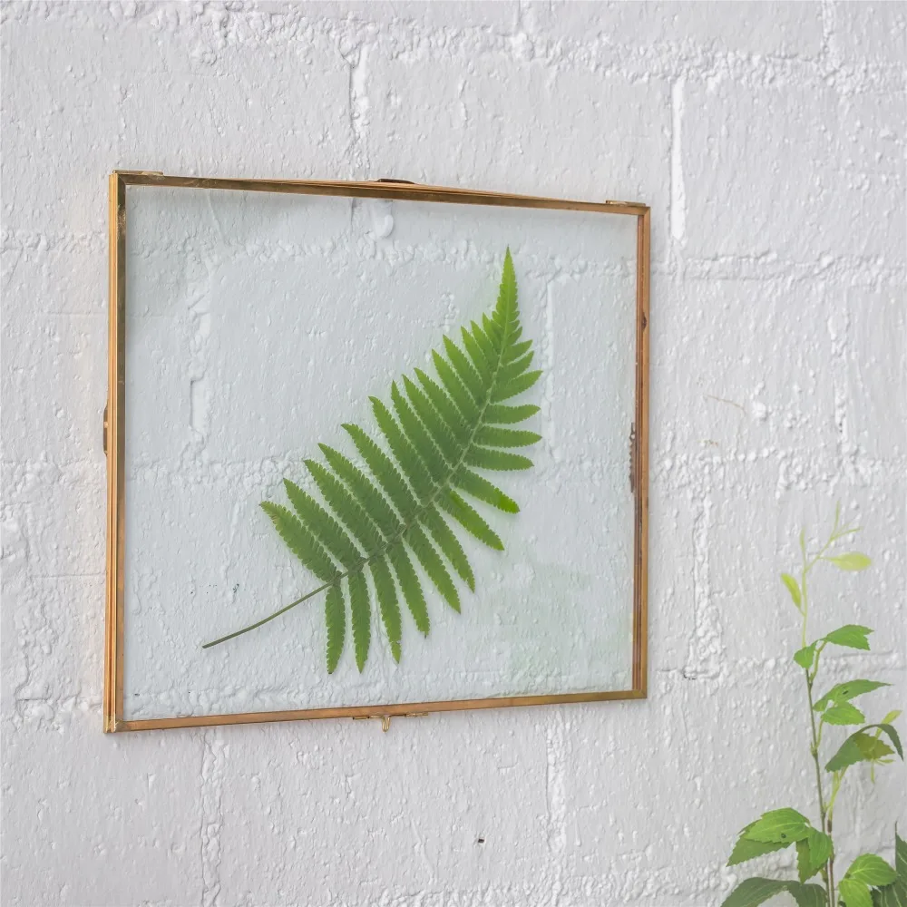 28x36cm Retro Glass Picture Frame Display Poster Plants Specimen Clip Home Office Wall Decoration Card Photo Frames Rectangle