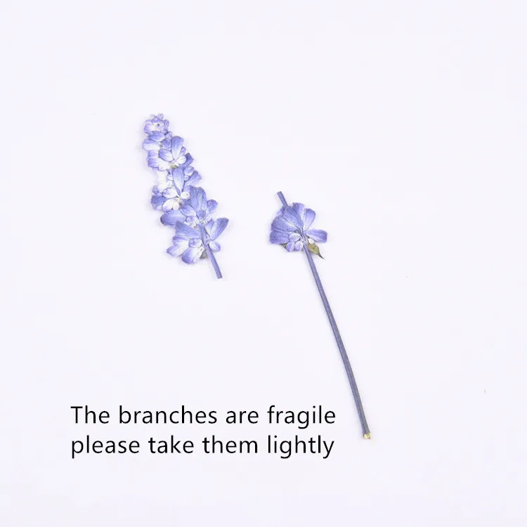 16 шт./лот натуральные прессованные цветы с стволом Вечные настоящие розы для