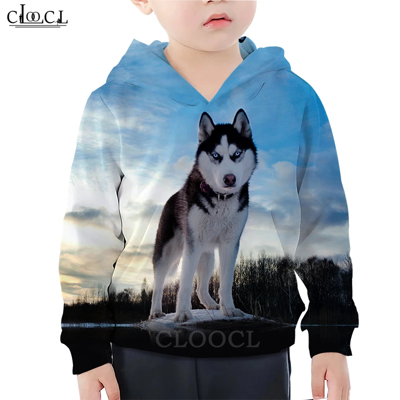 Хаски Толстовка с капюшоном Повседневная одежда для маленьких мальчиков 3D