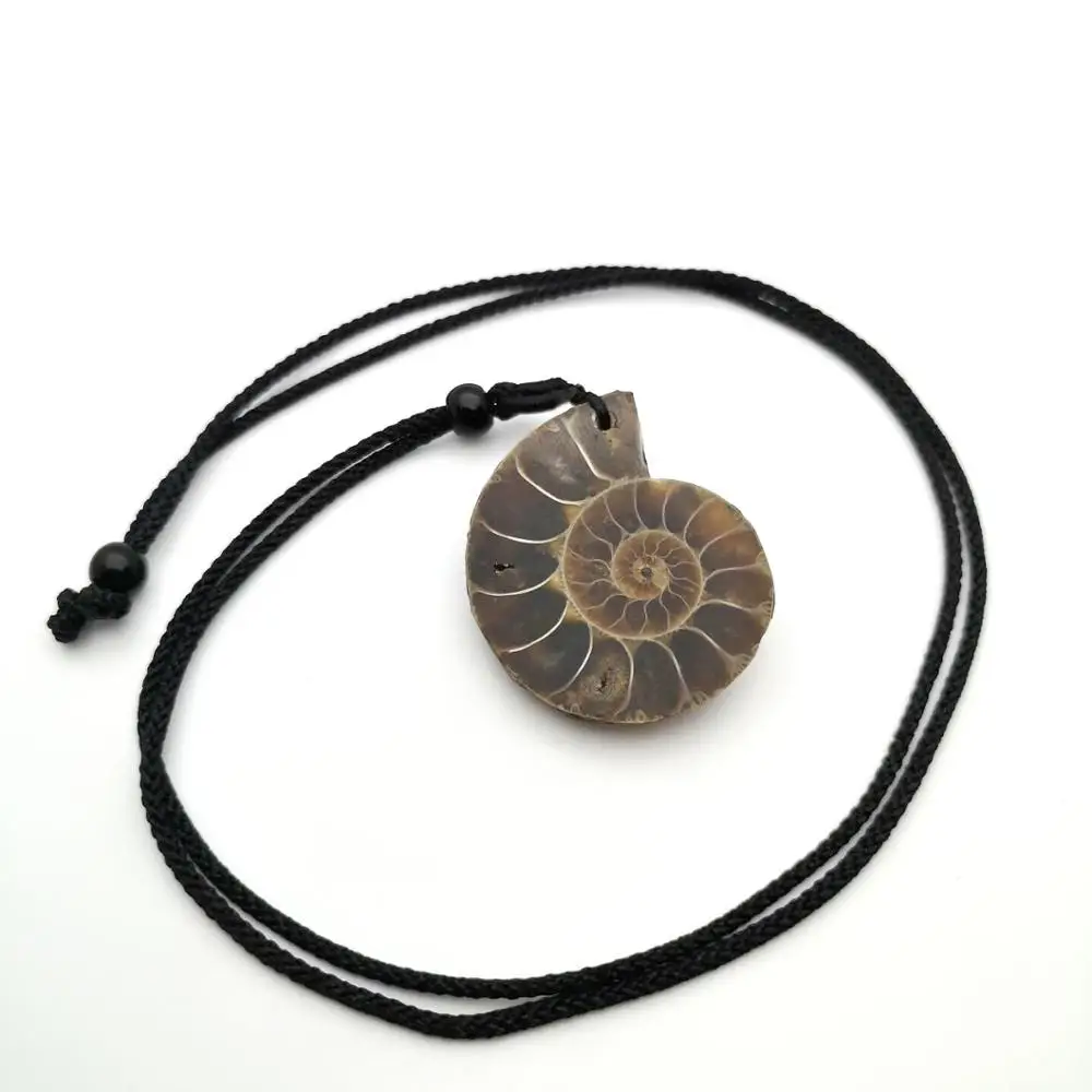 Красивый натуральный камень окаменелости аммония ракушка подвеска Улитка