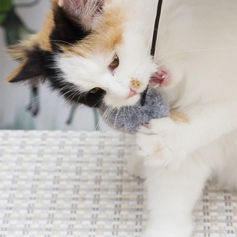 

Cat Climbing Frame Sisal Material Knot Toys Fun and Diverse ECO-Friendly No Irritation Peculiar Smell Fine Fluff Solid Quality