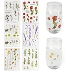 5 листов, натуральные растения, Маргаритка, роза, клевер, цветочный прозрачный стикер, материал ПЭТ, цветы, листья, дневник в стиле Скрапбукинг, декоративные Стикеры