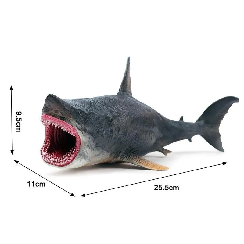 

1pcs Simulation Shark Model Toy Megalodon Shark Action Figure Model Ornament Kids Megalodon Shark Animals Model Collection Toys