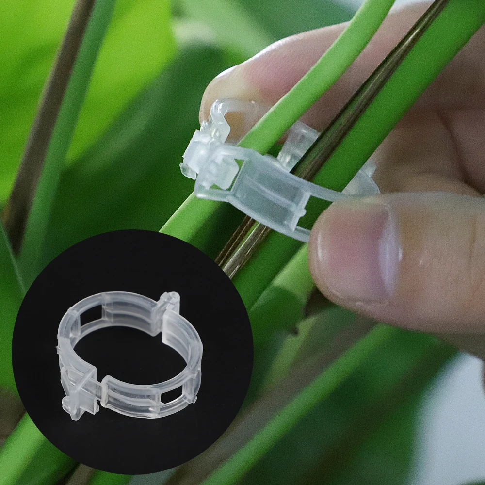 100/200/500 шт многоразовые пластиковые зажимы для растений поддерживает соединение