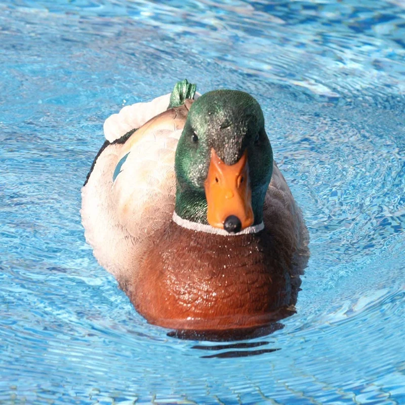 v201 rc лодка rc утка лодка 24 ггц охот