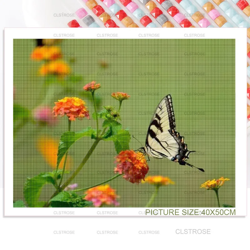 

Diy Animal Diamond Painting Butterfly Home Decoration Square Diamond Round Diamond Modern Home Living Room Decoration