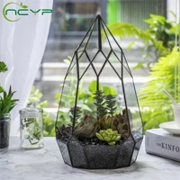ncyp irregular glass terrarium plants geometric terrarium teardrop containers succulents planter pot glass terrarium bunnings
