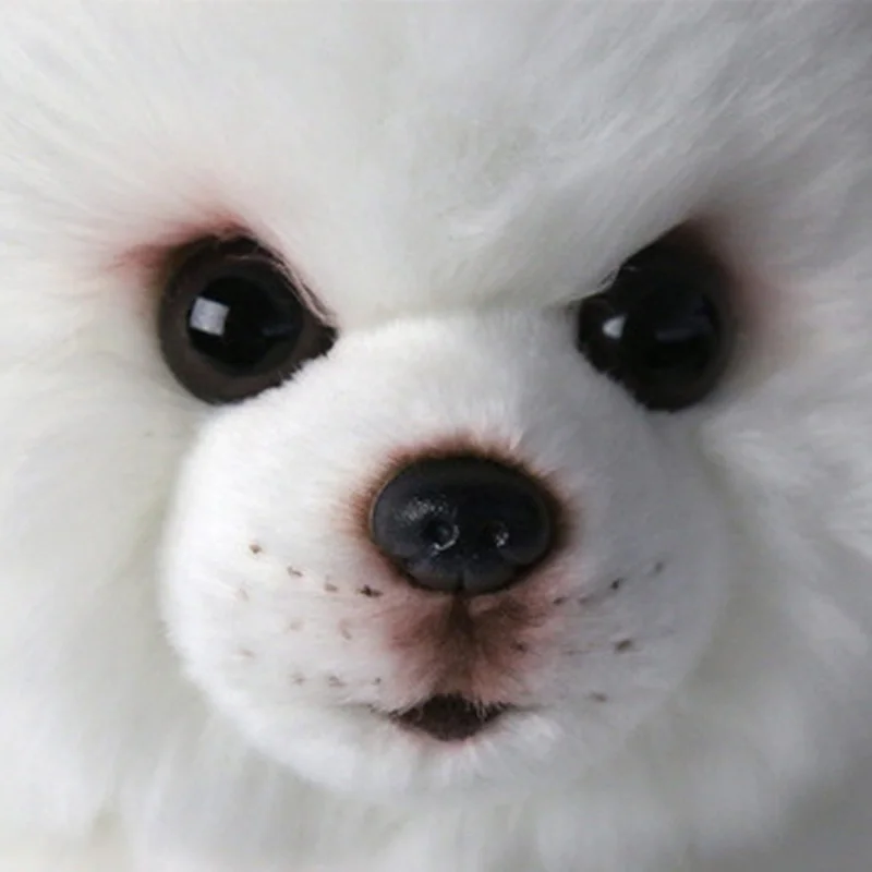 

White Pomeranian Dog Doll Simulation Dog Plush Stuffed Animal Toys Realistic Dog Toy For Pet Lovers Luxury Home Decor Crafts