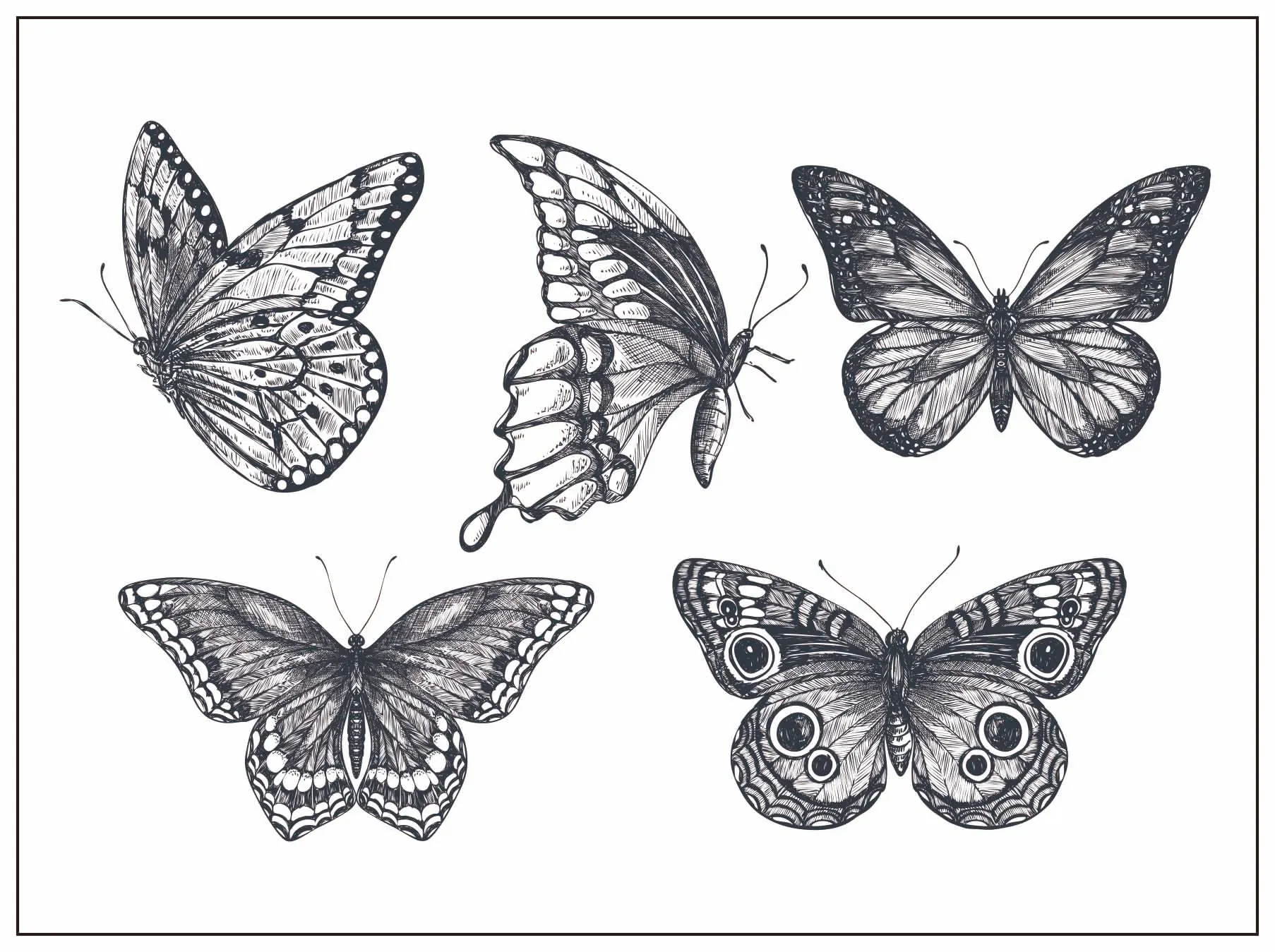 Butterfly Transparent clear stamp for DIY Scrapbooking/Card Making/Kids Christmas Fun Decoration Supplies | Дом и сад