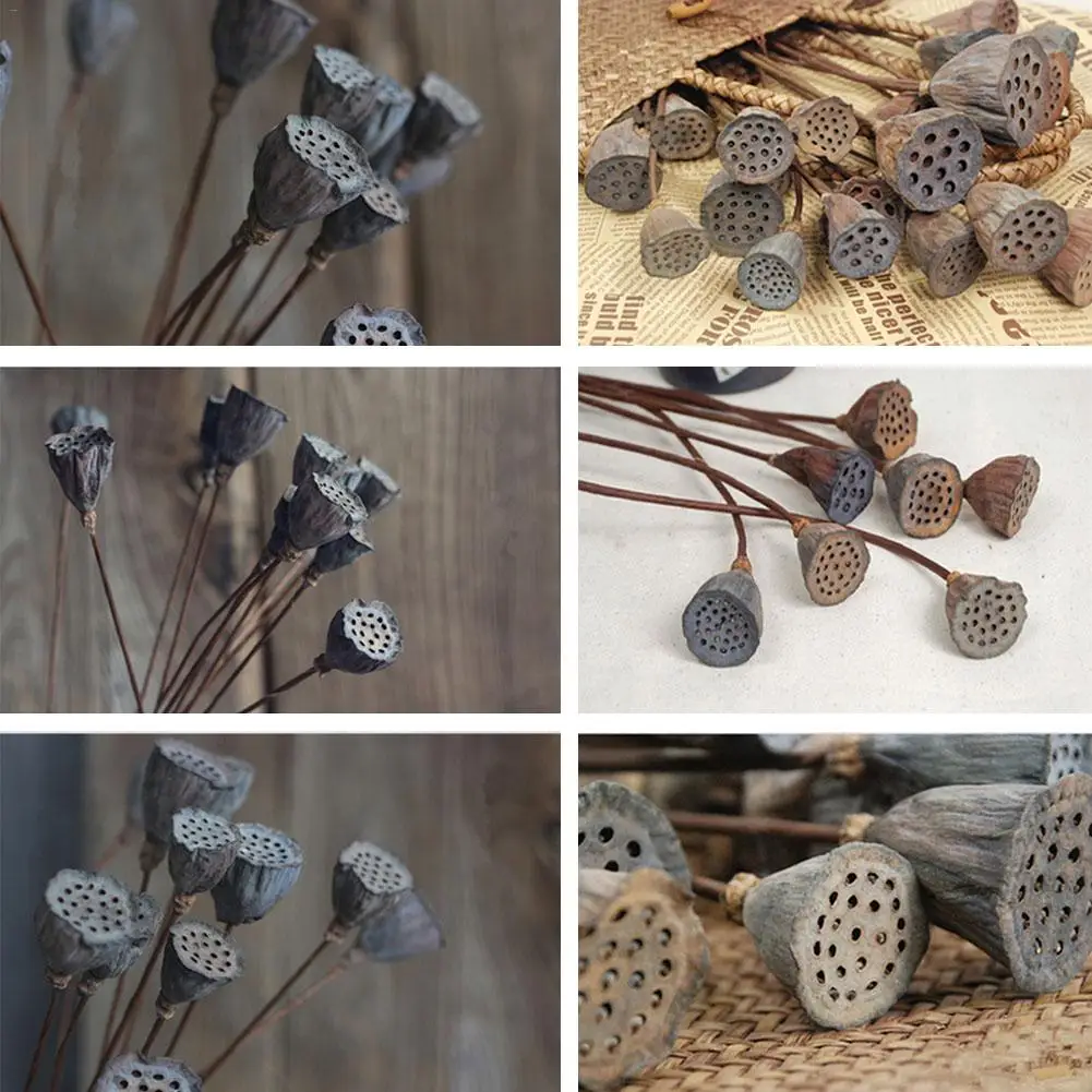 5 шт. натуральный сушеный цветок лотоса украшение для свадебной вечеринки