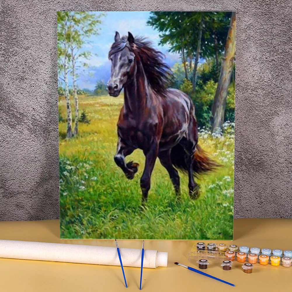 

Набор для рисования по номерам на холсте, 50 Х70 см