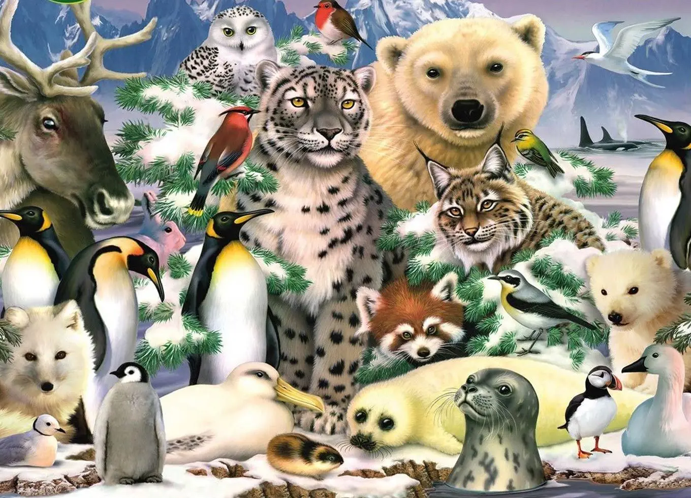 

Алмазная живопись Z1716, полноразмерная/круглая картина с рисунком оленя, медведя, совы, пингвина, леопарда, 5D Вышивка крестиком