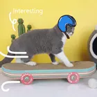Кошачья чесалка для скейтборда
