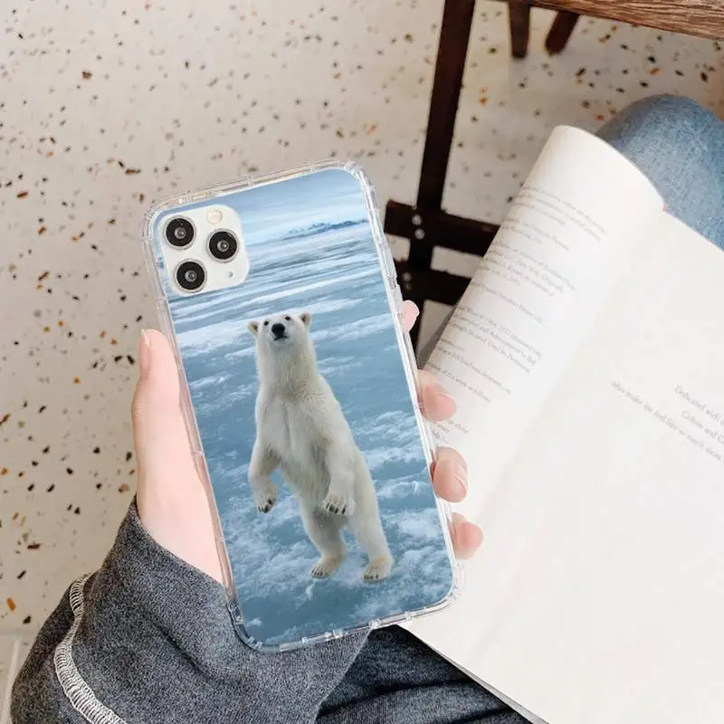 

Polar bear cold cute animal Phone Case Transparent soft For iphone 5 5s 5c se 6 6s 7 8 11 12 plus mini x xs xr pro max