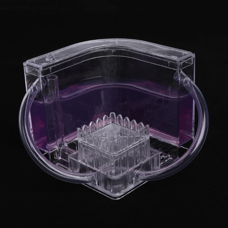 3D Ant Farm Educational Maze Live Feeding System Ants Habitat World Pet Villa Wholesale self contained environment dropshipping | Дом и сад