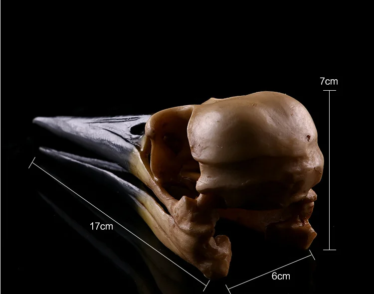 Птица динозавр искусственное изделие украшение для дома животное Череп модель