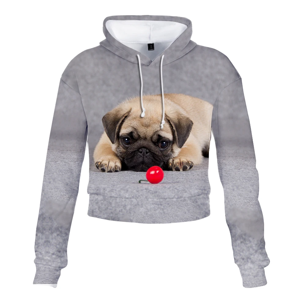 Женские толстовки с забавным 3D принтом топ милым Мопсом 2019 новая модная забавная