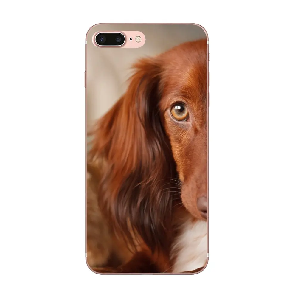 Cute Irish Setter Dog Puppy Pets For Samsung Galaxy A10 A20 A30 30S A40 A50 A50S A60 A70 A70S A80 A20E A51 A71 A9 2018 | Мобильные