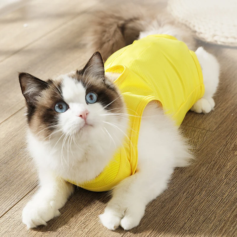 

Clothes After Operation for Cat Pullover Vest Costume a Pet Clothing Cats Sleeveless Garment Clothing Summer Small Kitten Animal