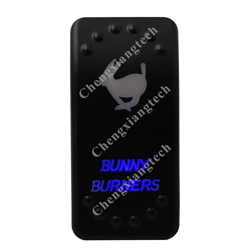 Банни горелки купив зеленые и пуховой подкладкой синий светодиодный светильник