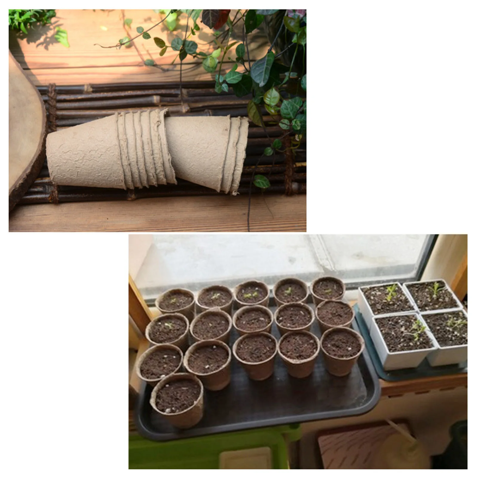 Garden Planting Germination Pots Harmless Degradable Recyclable Round Succulent 25pcs Pulp Seedling Bowl | Дом и сад