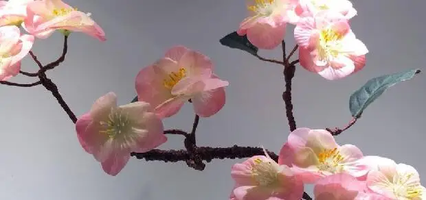 dark pink Настоящее сенсорный Искусственные Силиконовые вишня в цвету торговля шерстяные латексные цветы персикового цвета, свадебных платьев, декоративных изделий и cereza cereja 6 шт./лот - Цвет: dark pink