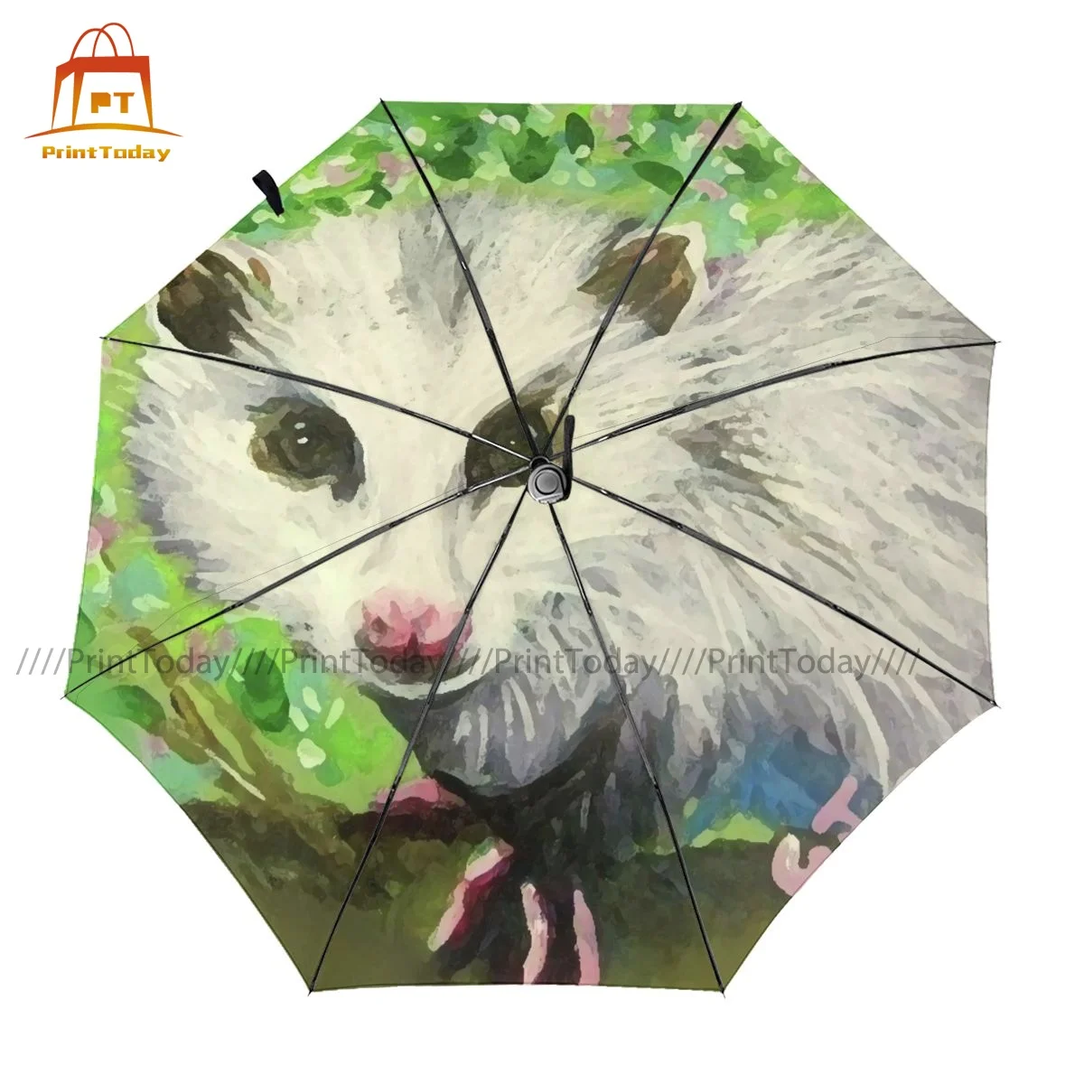 

Opossum Umbrella Waterproof Tours Umbrella Cute Auto Print Portable Umbrella