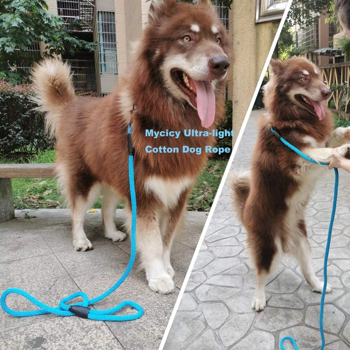 

1.5M Dog Leash is Soft and Comfortable, Reflective Rope Padded Handle Safety is High, Colorful Nylon Rope