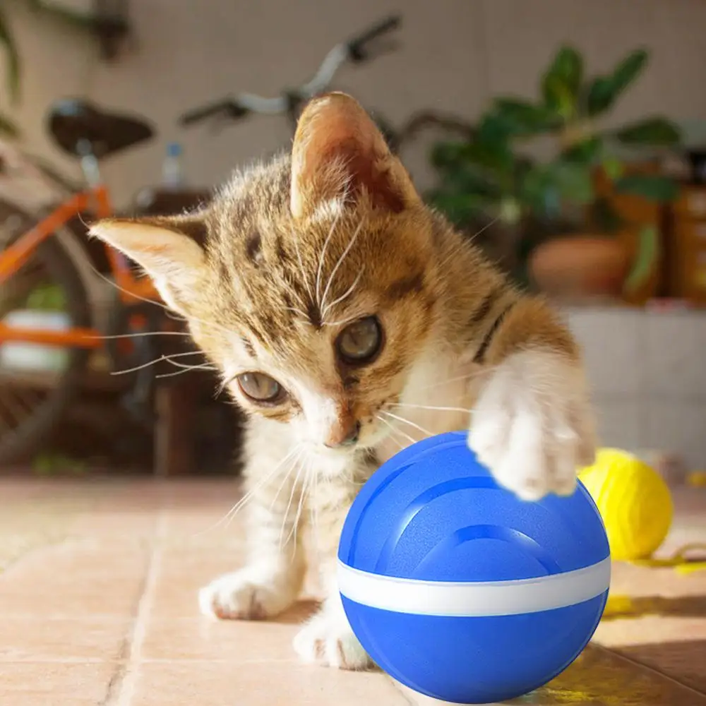 2020 Рождество прыжки злой шар 2 го поколения Анти укус Водонепроницаемая игрушка